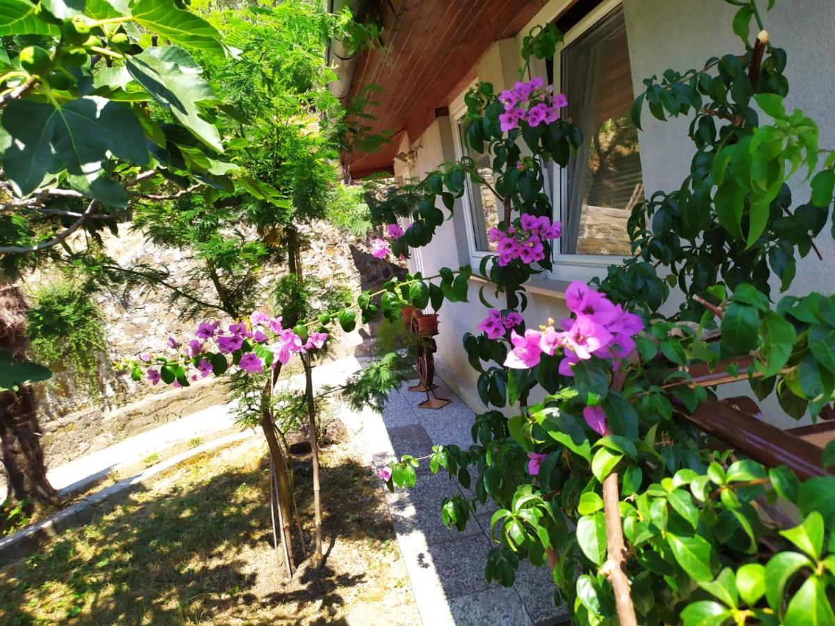 Lili House Portorož Exterior foto
